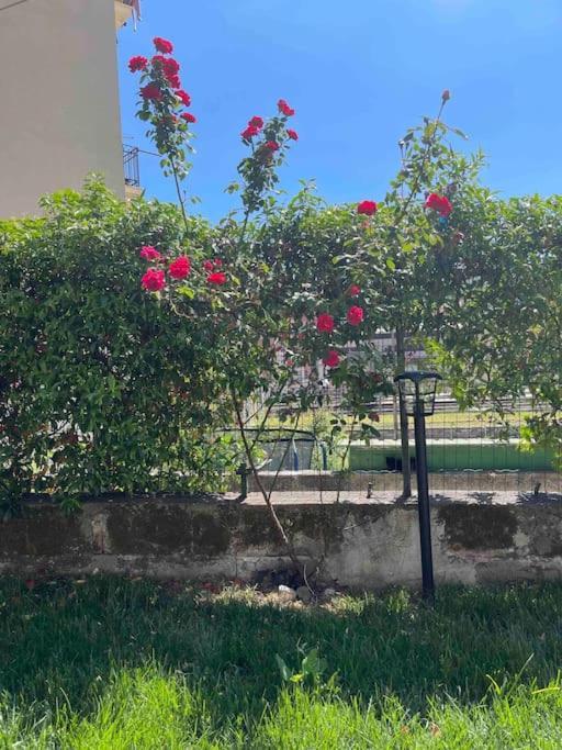 Casa Ale 5 Terre Guest House Con Giardino La Spezia Kültér fotó